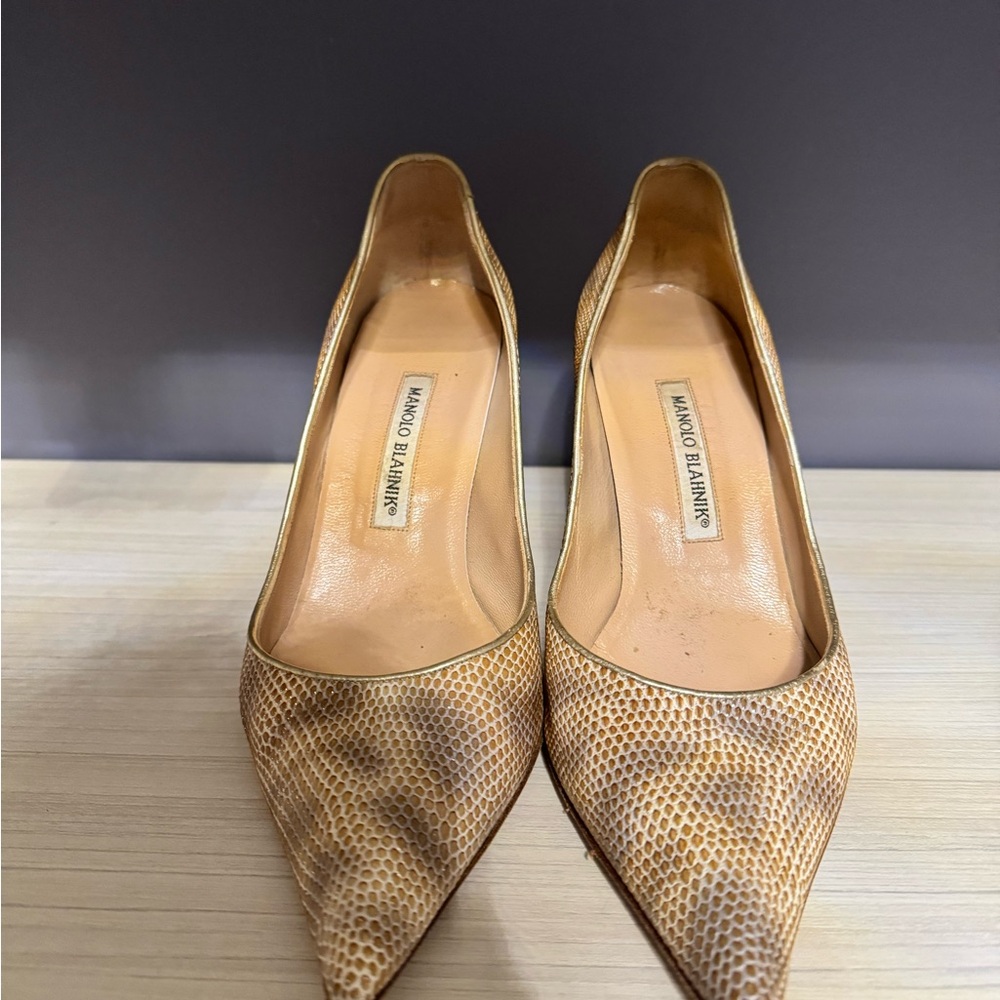 Manolo Blahnik Tan Heels with Pointed Toe and Textured Design